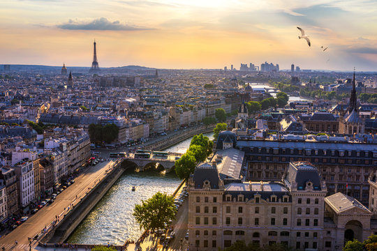 Paris, France, Seine river cityscape in summer colors with birds flying over the city. Paris city aerial panoramic view. Paris is the capital and most populous city of France. Postcard of Paris.