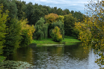 Fototapeta na wymiar Beautiful autumn landscape - trees with green and yellow leaves near a pond with calm water