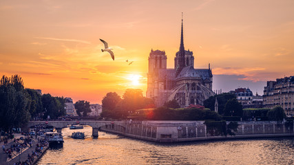 Notre Dame de Paris cathedral with seagulls flying over it, France. Notre Dame de Paris Cathedral,...