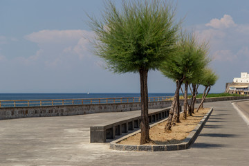 Fototapeta na wymiar ischia forio seafront with trees