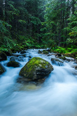 Naklejka na ściany i meble Fast Flowing Creek in Woodlands, Motion Blur, Tatras Mountain,Poland