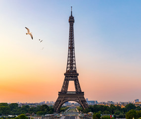 Eiffel tower in summer with flying birds, Paris, France. Scenic panorama of the Eiffel tower under the blue sky. View of the Eiffel Tower in Paris, France in a beautiful summer day. Paris, France.
