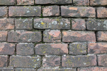 old brick wall