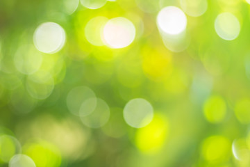 green nature light background, abstract green bokeh