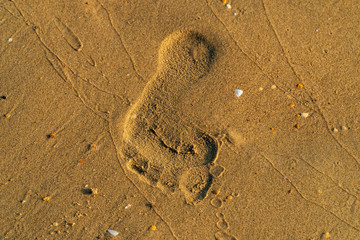 Fototapeta na wymiar Sand on the beach with footprints of a man