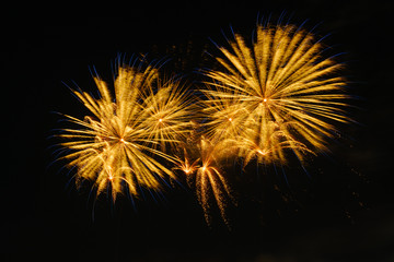 Colorful fireworks in night sky