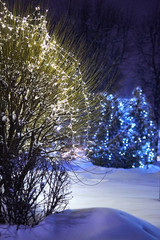 Electric light garland on the branches of a trees. Light lamp decor. Night Christmas festive illumination on the streets and parks of the city. Yellow and blue glowing bulbs
