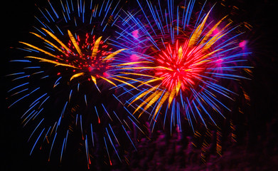 Obraz premium Colorful fireworks in night sky
