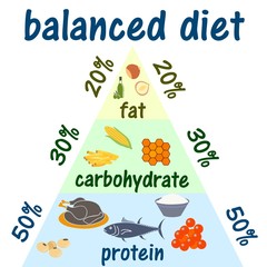 Ketogenic diet food pyramid infographic for healthy eating diagram, low carbs, high healthy fat, long term effect, protein and FAT. Vector icon banner.