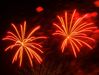 Colorful fireworks in night sky