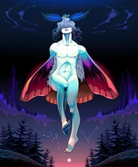 Poster The moth boy © ddraw