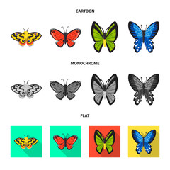 Isolated object of exotic and botanic icon. Set of exotic and tropics stock vector illustration.