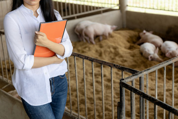 Smart farmer with notes for checking quality in hands in organic farm pig. Agriculture and livestock industry