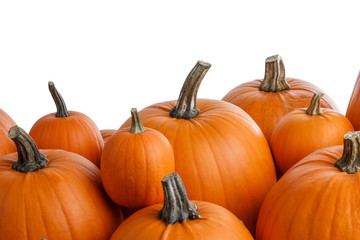 Heap of orange pumpkins