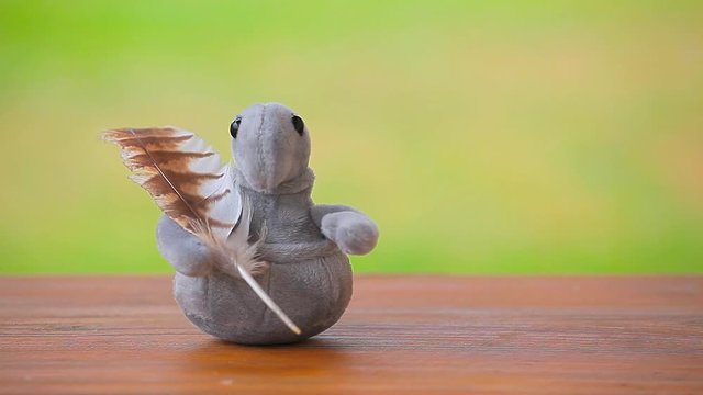 plush seal feather cuckoo grass background 