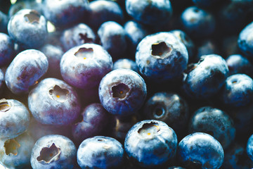 Fresh Blueberries Straight from the Farmers Market