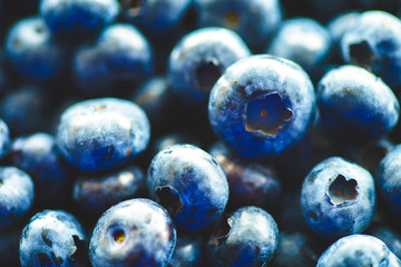 Fresh Blueberries Straight from the Farmers Market