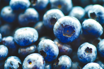 Fresh Blueberries Straight from the Farmers Market