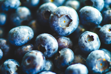Fresh Blueberries Straight from the Farmers Market