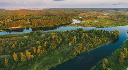 Aerial View Green Pine Forest And River Landscape In Sunny Summer Evening. Top View Of Beautiful European Nature From High Attitude In Summer Season. Drone View. Bird's Eye View
