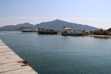 Boat tour on the river - dalyan iztuzu beach