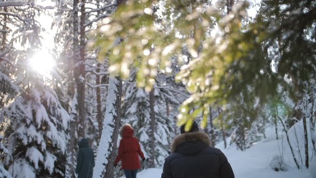 A group of friends slowly walks along a winter forest trail at sunrise