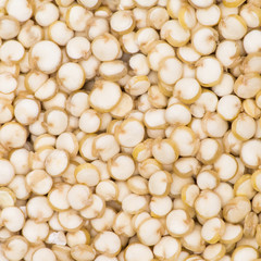 Quinoa overhead view for texture or background