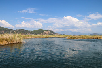 Boat tour on the river - dalyan iztuzu beach