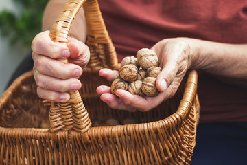 Senior woman holding walnuts and wicker basket in her hands