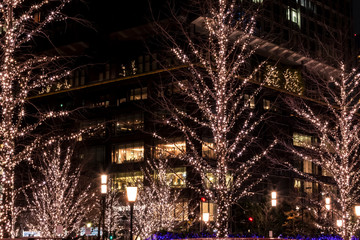 Naklejka premium イルミネーションの東京 夜景