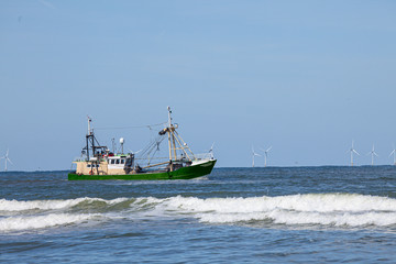 a shrimp cutter on the north sea