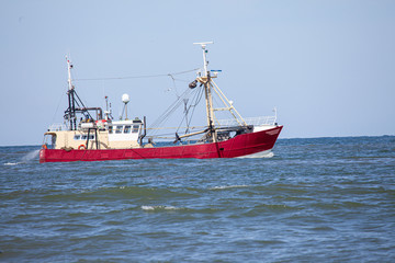 a shrimp cutter on the north sea