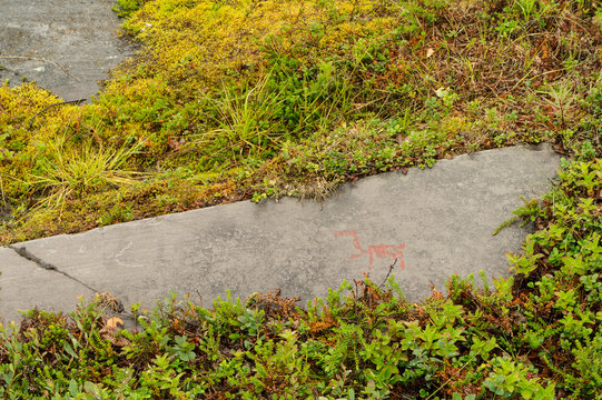Rock art in Alta Fjord, Norway. Ancient symbols, real drawing,  texture in stone. Red ocher paint. Human preys on animals deer.  Group of petroglyphs, dating from c. 4200 to 500 B.C.
