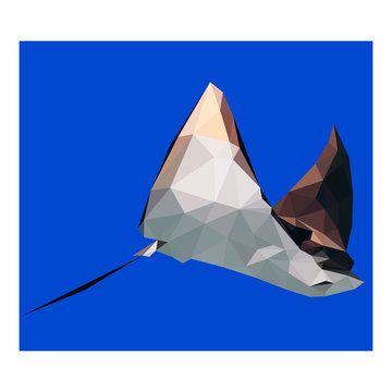 Colorful polygonal style design of devil-fish
