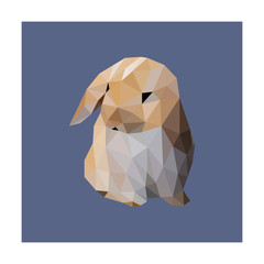 Low poly illustration of rabbit