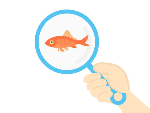 1 815 Best 金魚すくい Images Stock Photos Vectors Adobe Stock