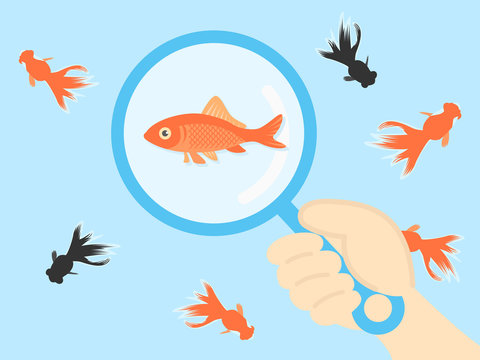 1 815 Best 金魚すくい Images Stock Photos Vectors Adobe Stock 1 815 Best 金魚すくい Images Stock Photos Vectors Adobe Stock