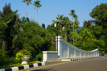 White bridge in Bogor Botanical Garden with natural green forest tropical country in indonesia