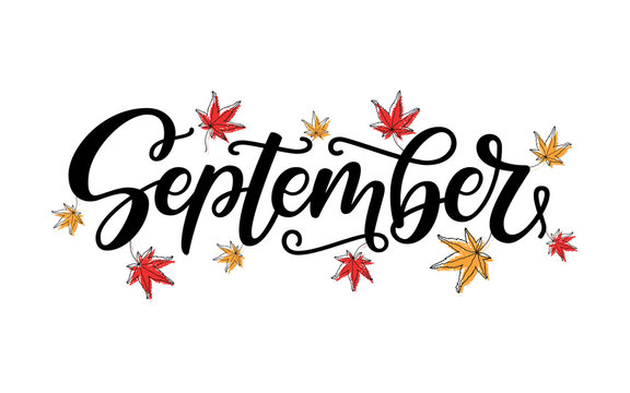Vector illustration of September lettering typography with maple leaves isolated on white background. Hand drawn design for autumn party poster, badge, logo, postcard, fall sale banner, advertising