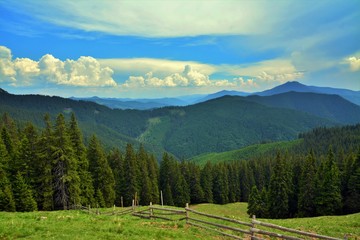 Rarau mountains in summer