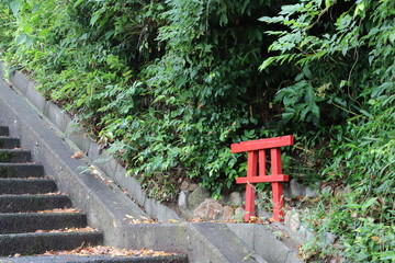 赤い小さな鳥居がある風景