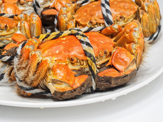 Close up of Chinese mitten crab tied up with ropes, shanghai hairy crabs in plate isolated on white background.
