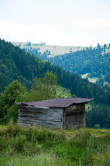 Old wooden house in the mountains against the background of the forest. Summer