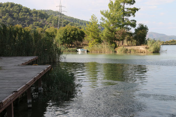 Obraz premium Boat tour on the dalyan river