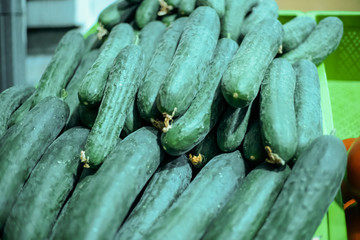 Fresh green vegetables cucumbers on the counter close-up