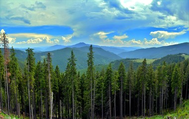 Rarau mountains in summer