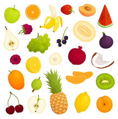 Various fruits. Vector illustration in cartoon style. Assorted whole, halves and sliced fruits.