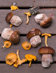 Mushrooms on decking