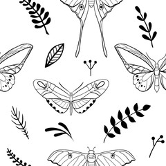Seamless pattern with hand drawn butterflies and herbs. Sketch style minimalistic illustration. Vector graphic design for paper, textile print, page fill. Black and white, floral, monochrome