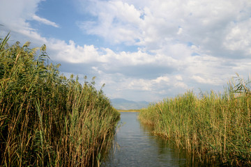 Boat tour on the dalyan river
